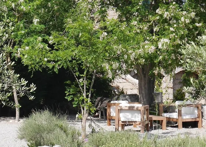 Le Chai, Belle Pour 13 Personnes Au Coeur D'un Vignoble Avec Piscine Villa *