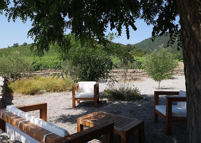 Le Chai, Belle Pour 13 Personnes Au Coeur D'un Vignoble Avec Piscine