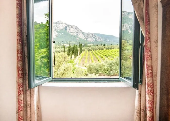Le Chai, Belle Pour 13 Personnes Au Coeur D'un Vignoble Avec Piscine Sartène