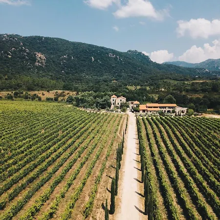 Le Chai Du Castellu Di Baricci, Belle Pour 15 Personnes Au Coeur D'un Vignoble Avec Piscine Sartene (Corsica)