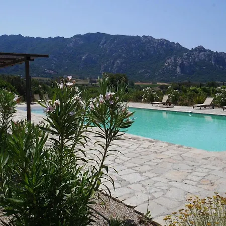 Le Chai Du Castellu Di Baricci, Belle Pour 15 Personnes Au Coeur D'un Vignoble Avec Piscine
