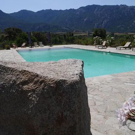 Le Chai Du Castellu Di Baricci, Belle Pour 15 Personnes Au Coeur D'un Vignoble Avec Piscine *