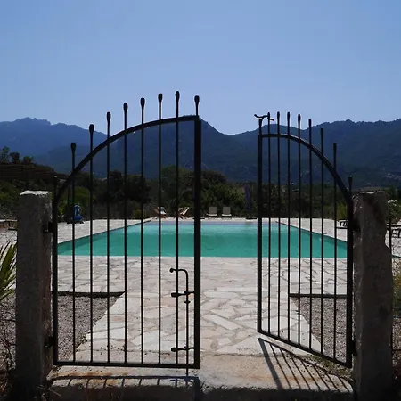 Vila Le Chai, Belle Pour 13 Personnes Au Coeur D'un Vignoble Avec Piscine Sartène