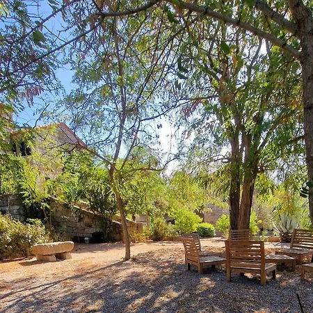 Le Chai Du Castellu Di Baricci, Belle Pour 15 Personnes Au Coeur D'un Vignoble Avec Piscine *