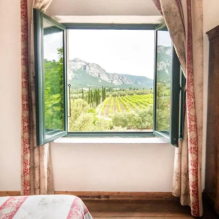 Le Chai, Belle Pour 13 Personnes Au Coeur D'un Vignoble Avec Piscine Sartène