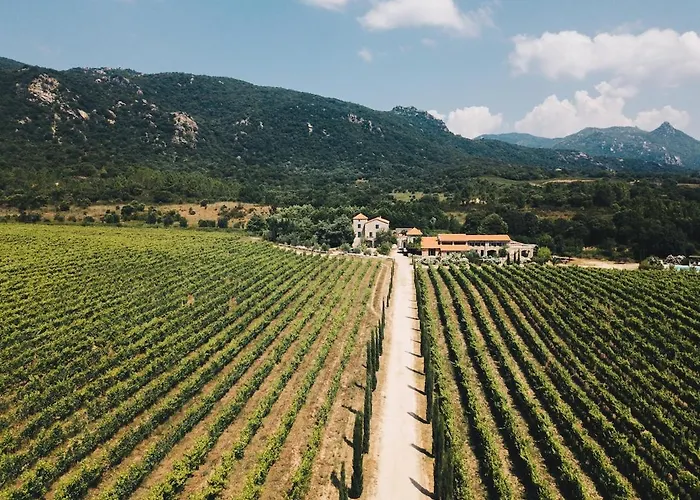 Le Chai, Belle Pour 13 Personnes Au Coeur D'un Vignoble Avec Piscine Sartène